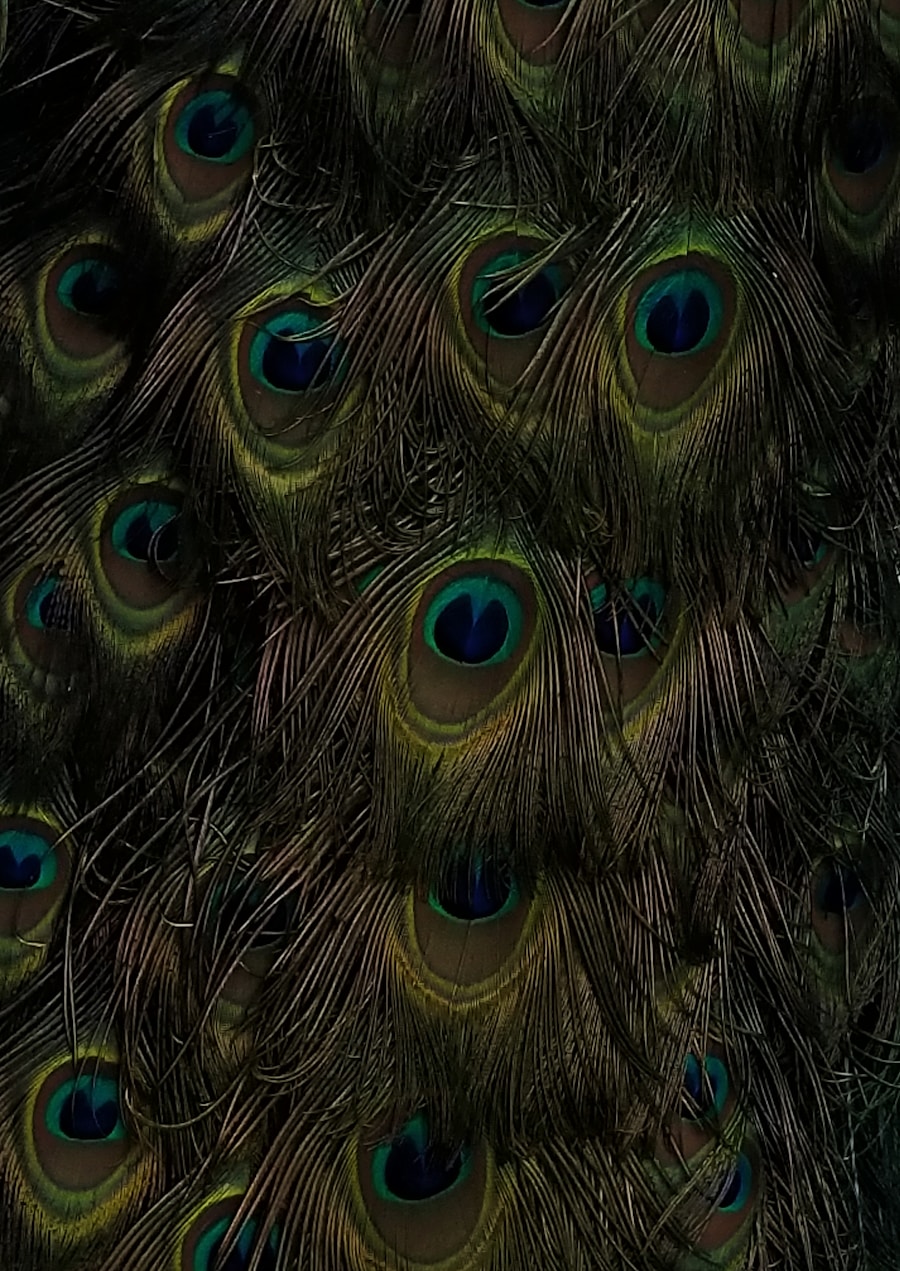 Photo Deep neural net