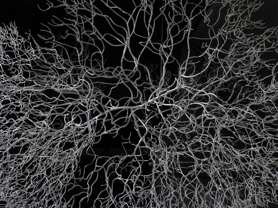 Photo Neural Networks