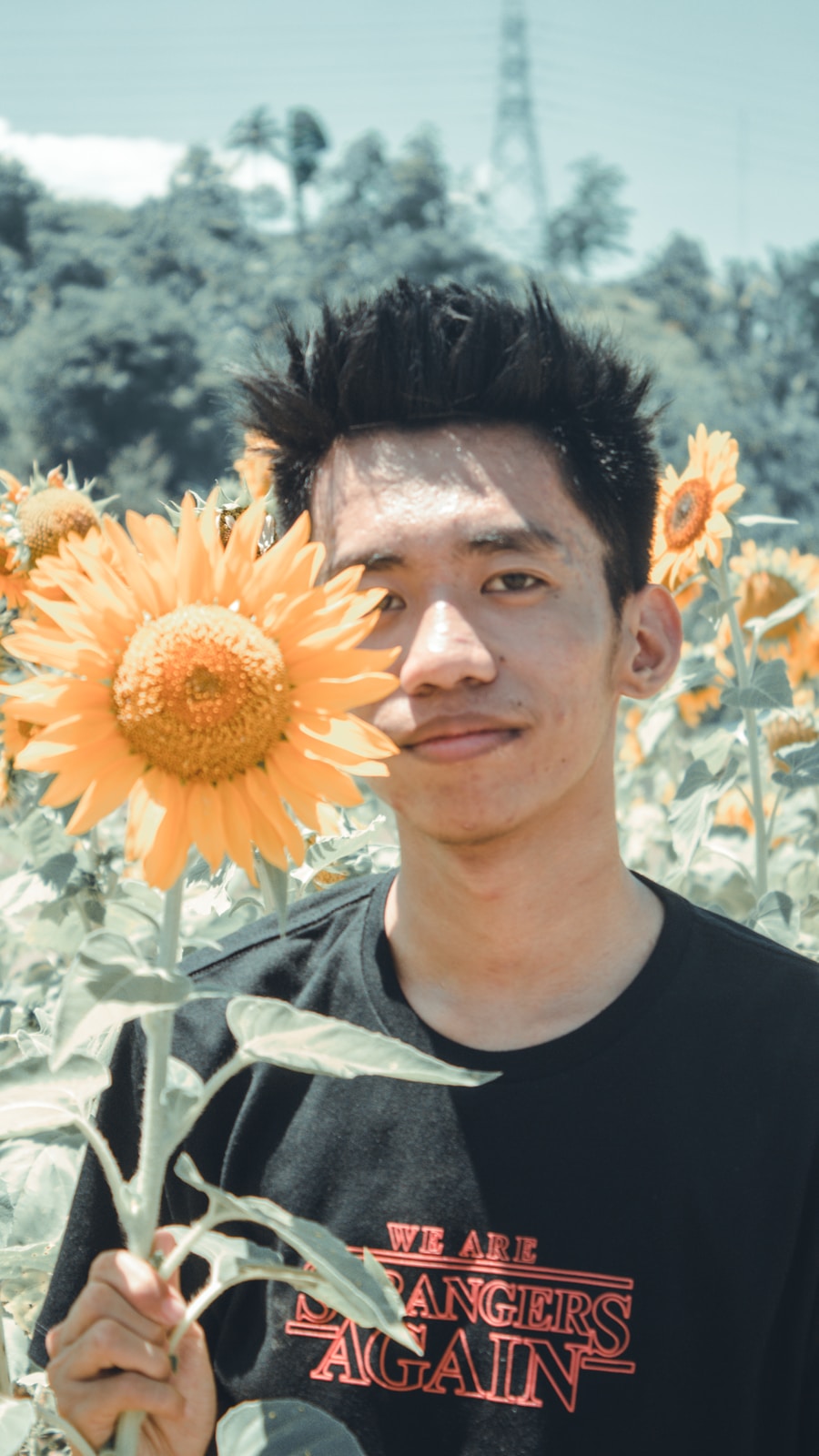 Photo TensorFlow
