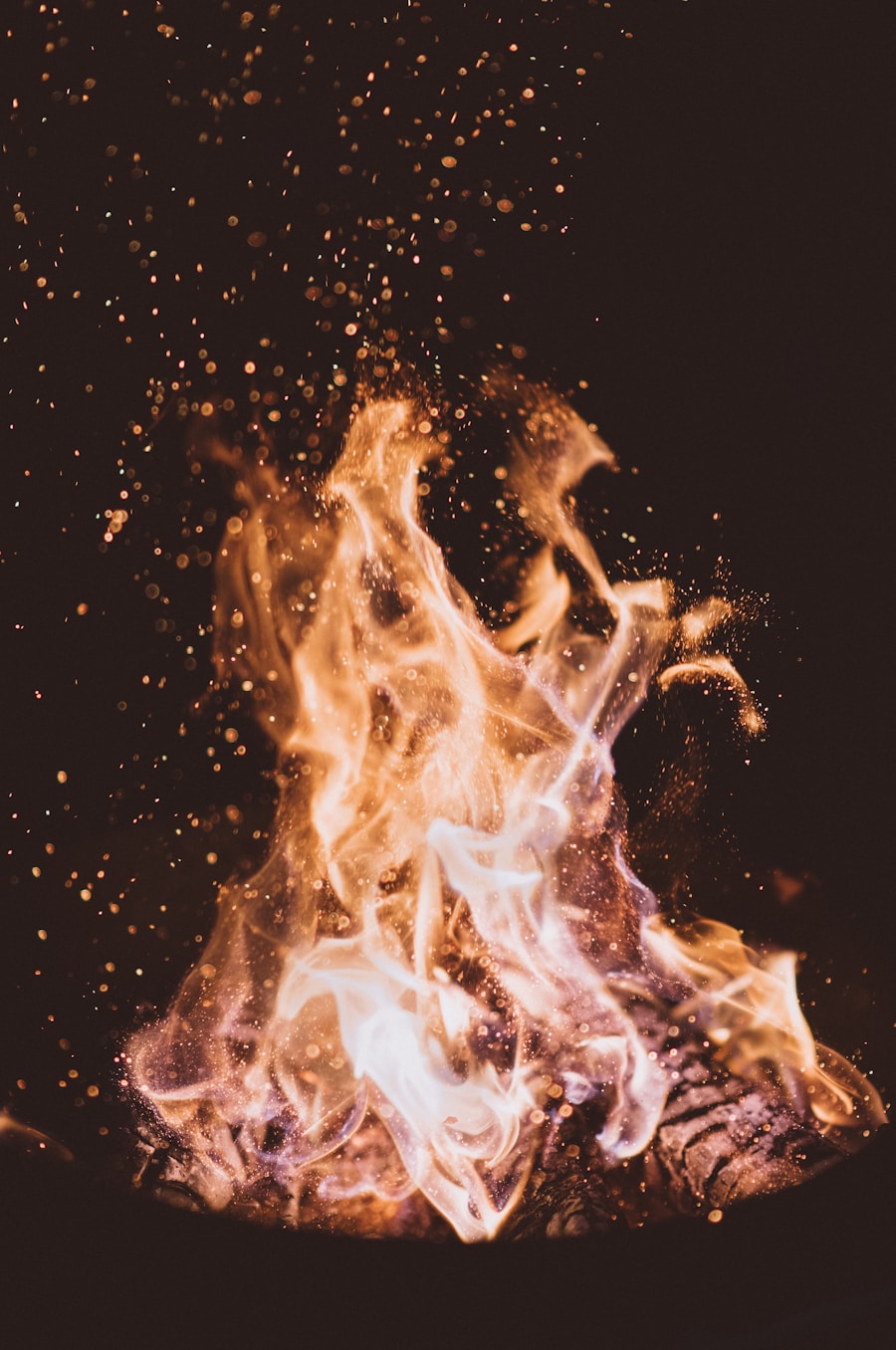 Photo Pytorch